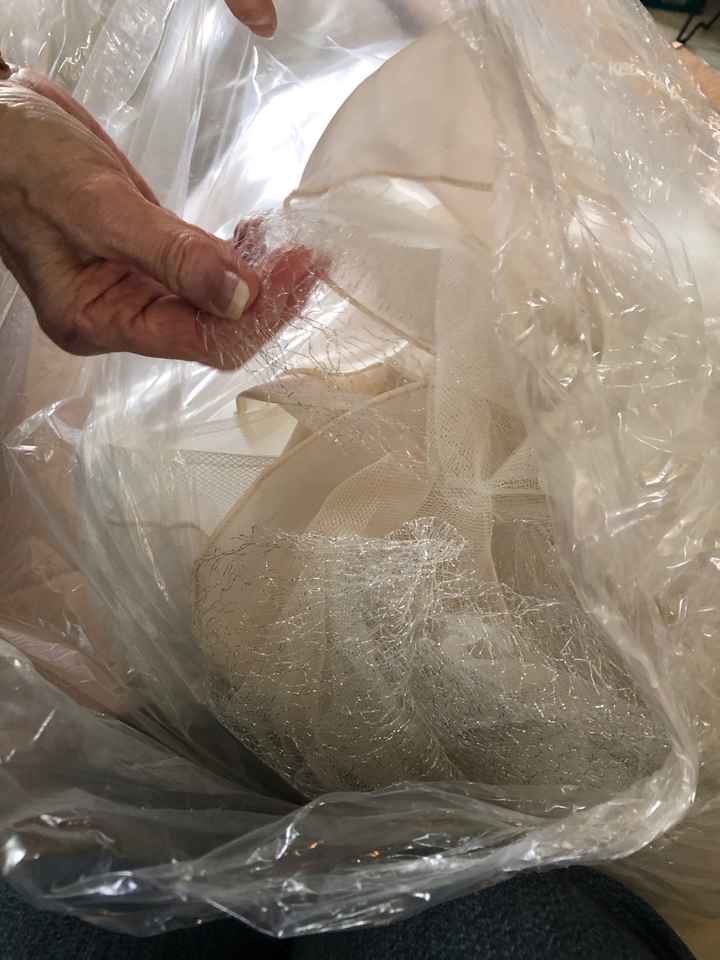 💔 Devastated at Destruction of Dress 💔 - 6