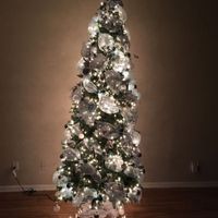 NWR-show me your Xmas trees