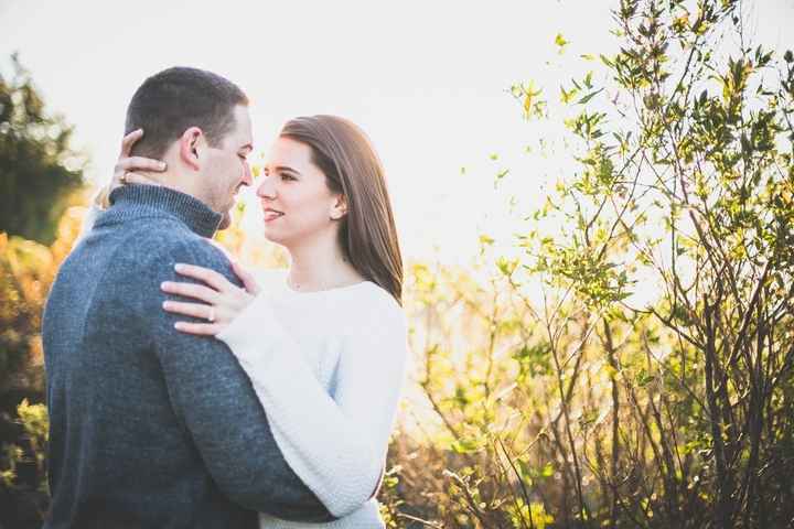 Poll: which photo would you choose? - 1