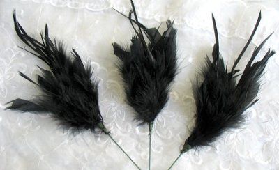 Help!can't find my feathers online now and 20 days left!