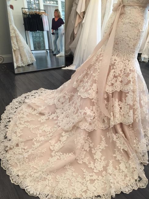 I did it, I pulled the plug.  Here's my dress!!!