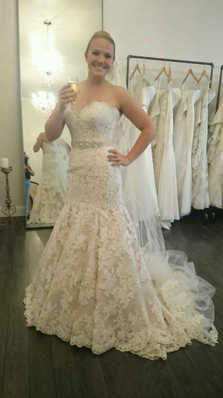 I did it, I pulled the plug.  Here's my dress!!!