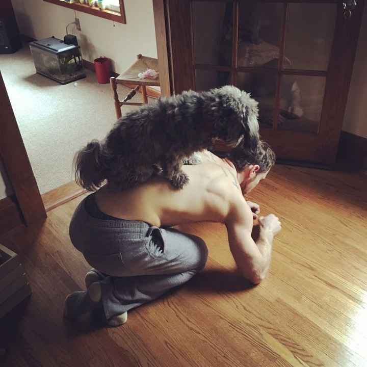 Why do I love my dog so much?