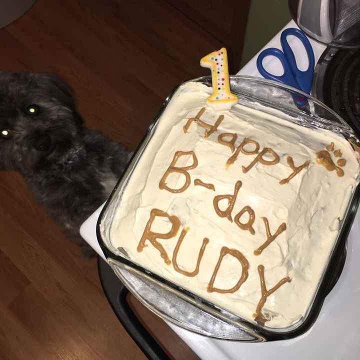 NWR: dog or no dog? Advice please