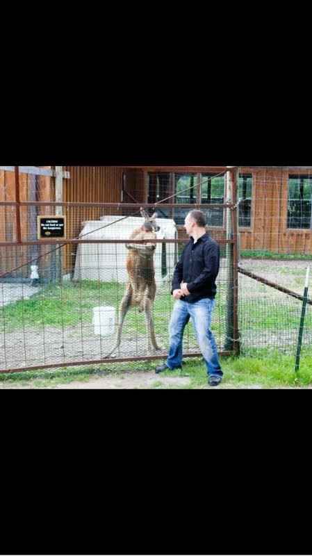 NWR, RRR---GymRat, you gotta see this!