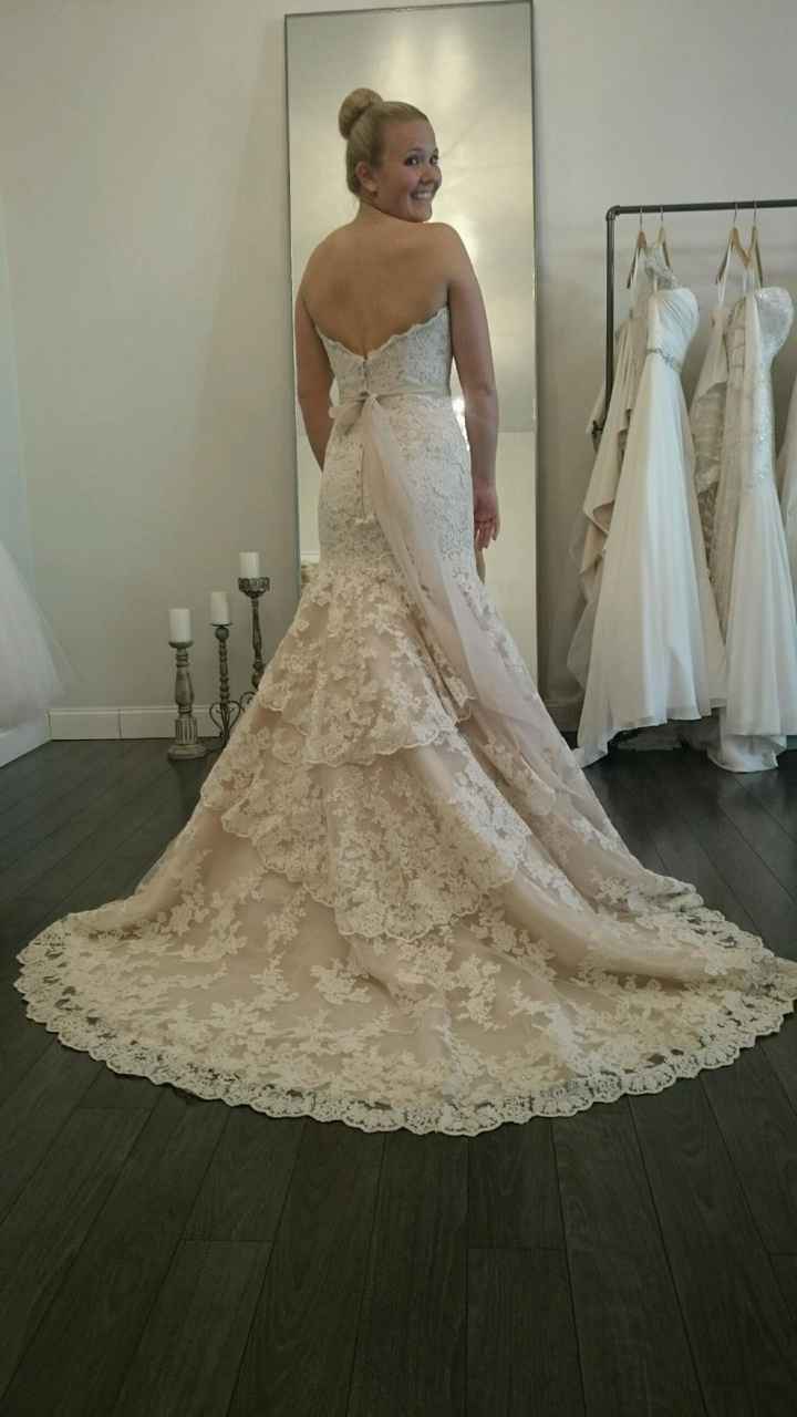 I did it, I pulled the plug.  Here's my dress!!!
