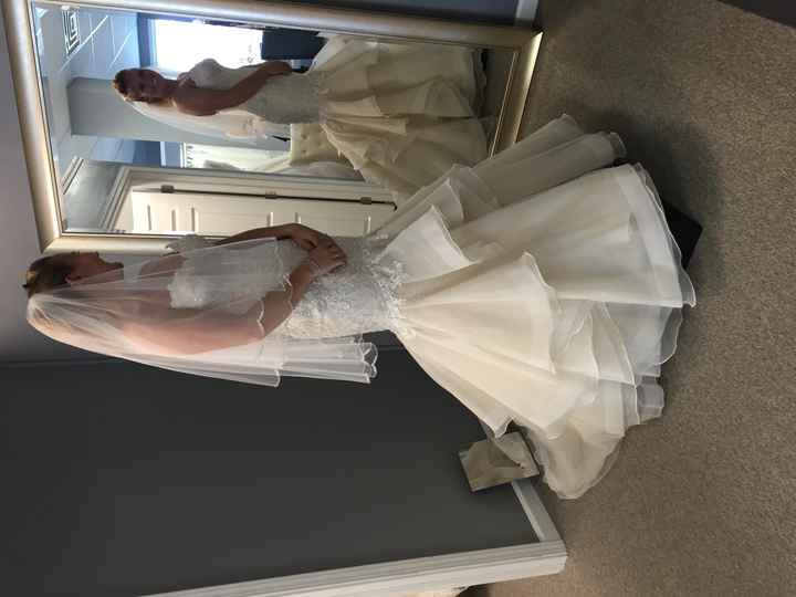 I did it, I pulled the plug.  Here's my dress!!!