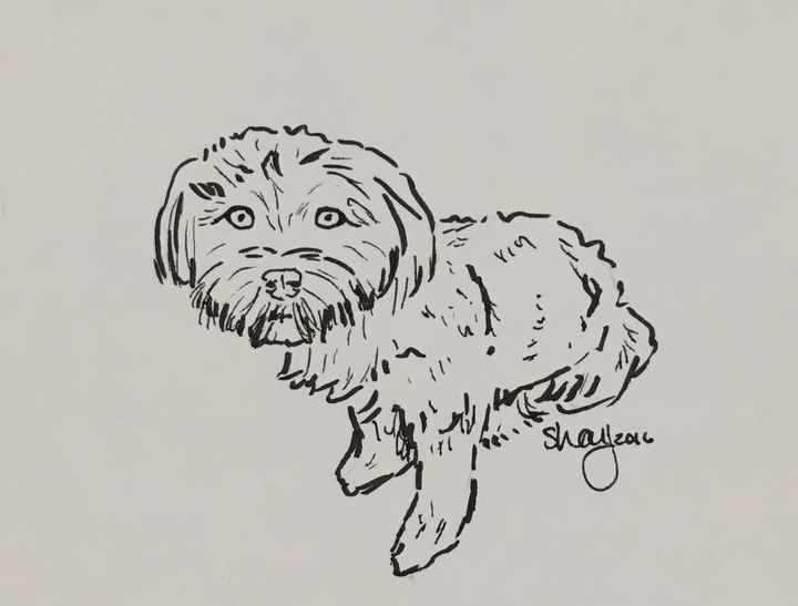 Shay - I love it you are the best!