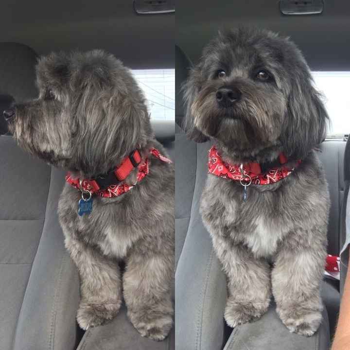 NWR - I'm a first time Auntie!