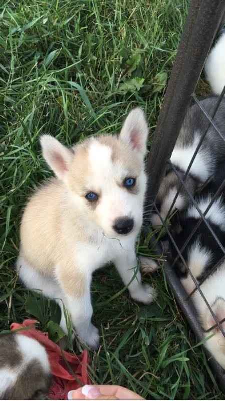 NWR - I'm a first time Auntie!