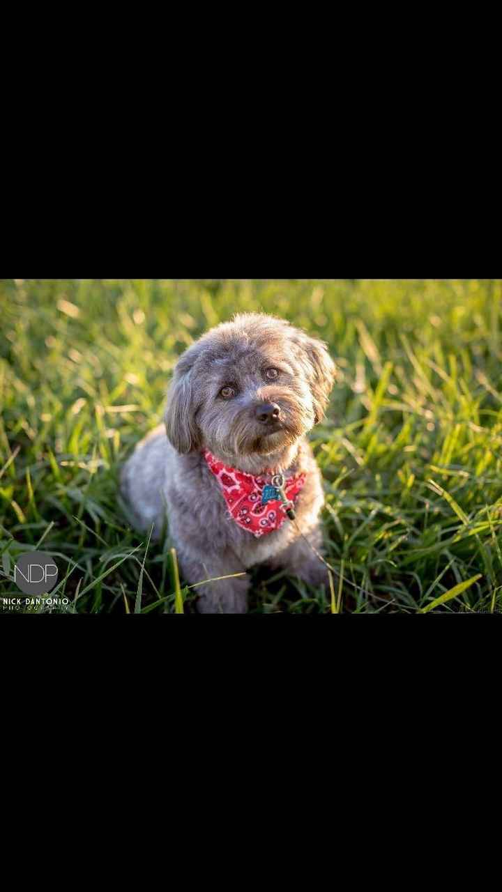 Got all of our e-pics back!