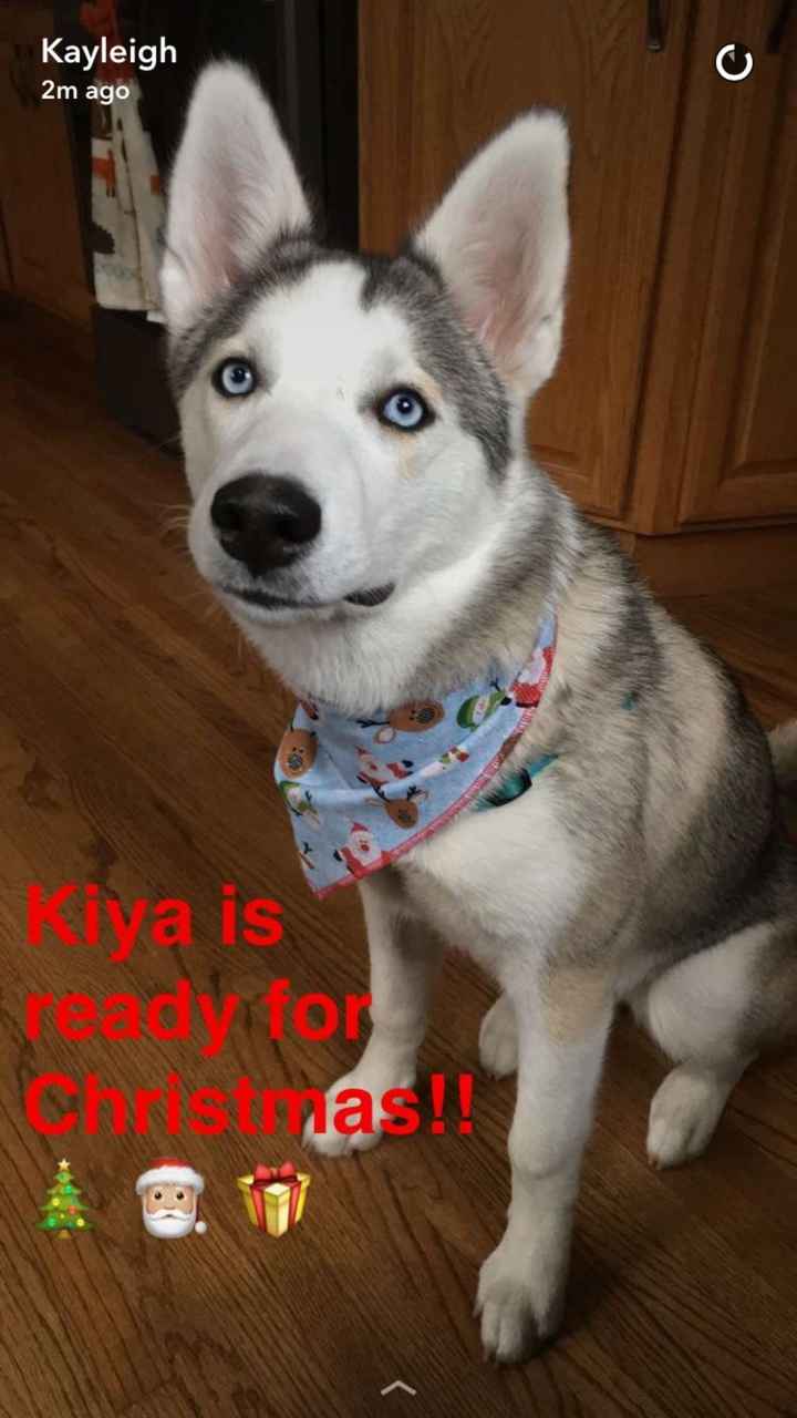 NWR: What should we name our puppy?!