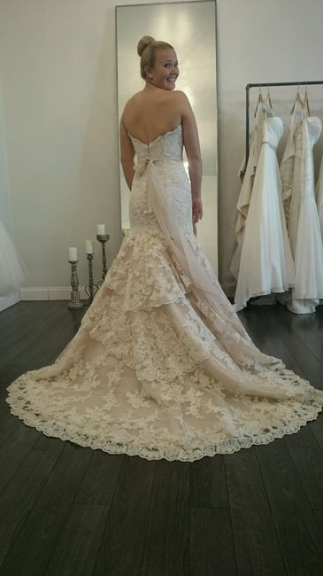 I did it, I pulled the plug.  Here's my dress!!!