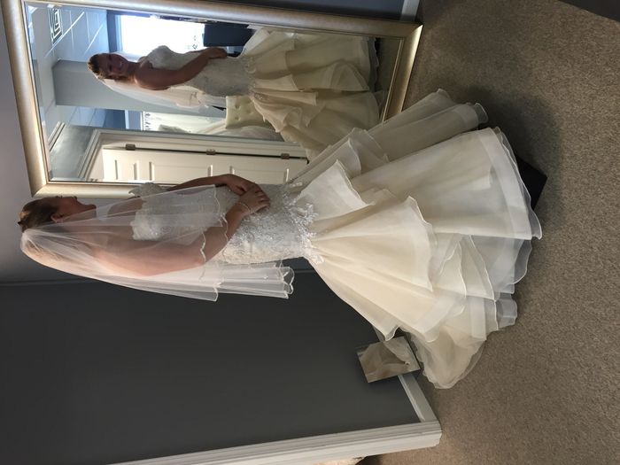 I did it, I pulled the plug.  Here's my dress!!!