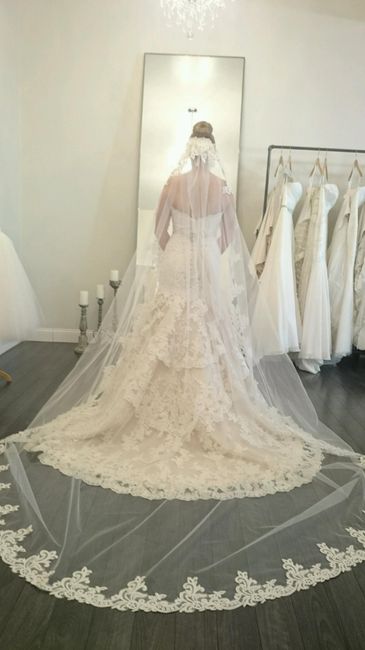 Officially said yes to the dress last night! Post your dress pics!