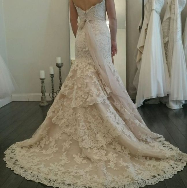 How long did your dress take to come in?