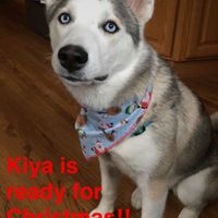 NWR: What should we name our puppy?!