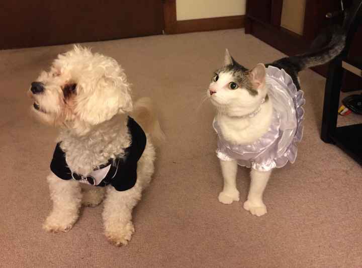 Let's hear your proposal stories!!