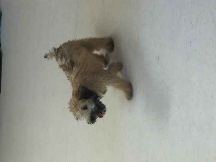 Best surprise ever!!!