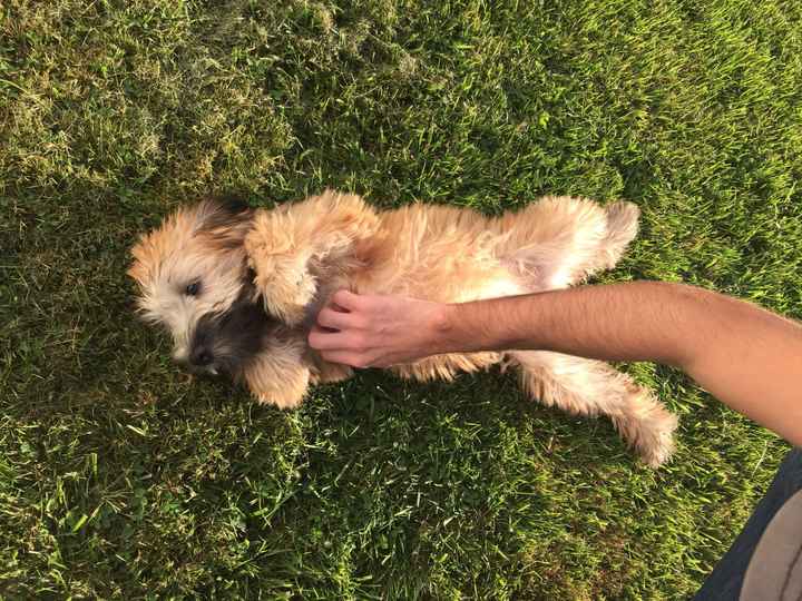 Best surprise ever!!!