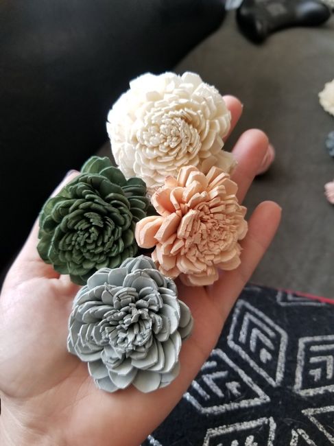 Sola Flowers???? - 1