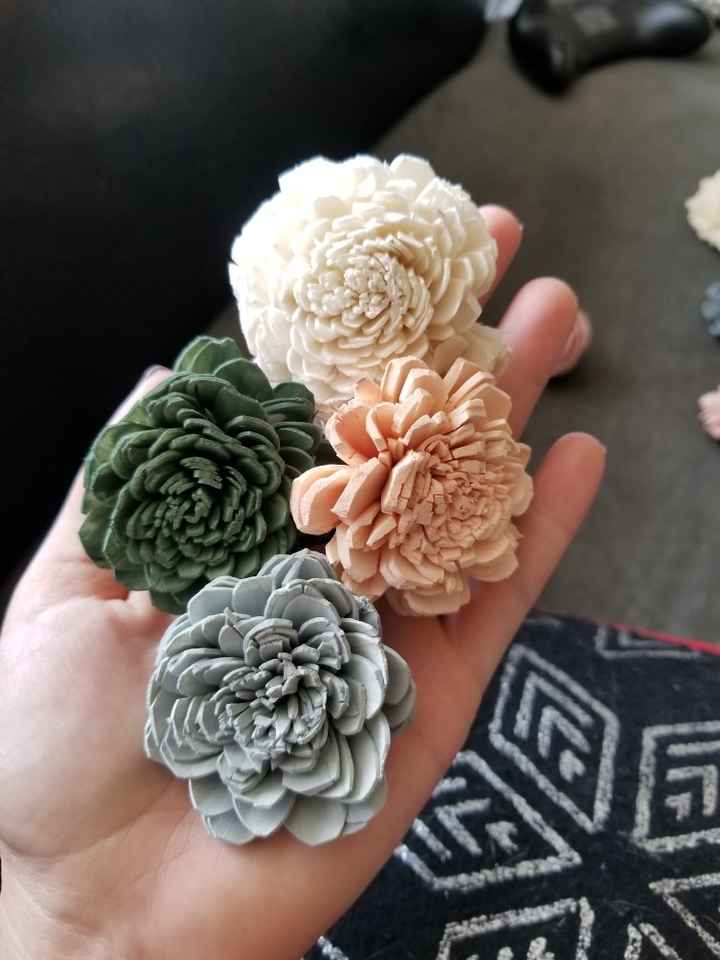 Sola Flowers???? - 1
