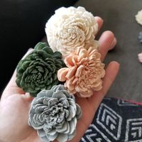 Sola Flowers???? - 1