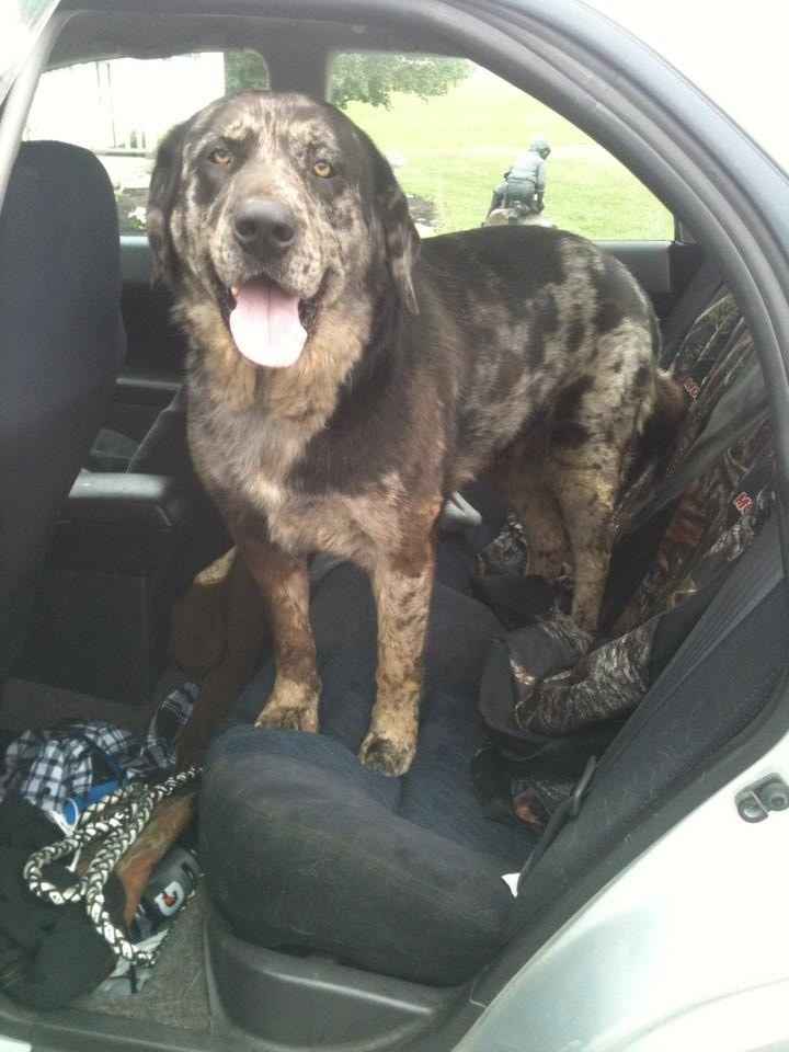 We are getting a house! A HOUSE!