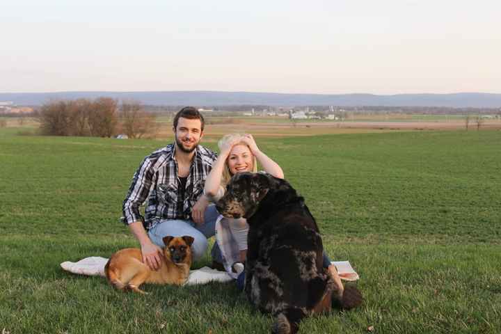 Fur babies with engagement/wedding photos