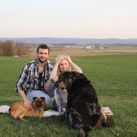 Fur babies with engagement/wedding photos