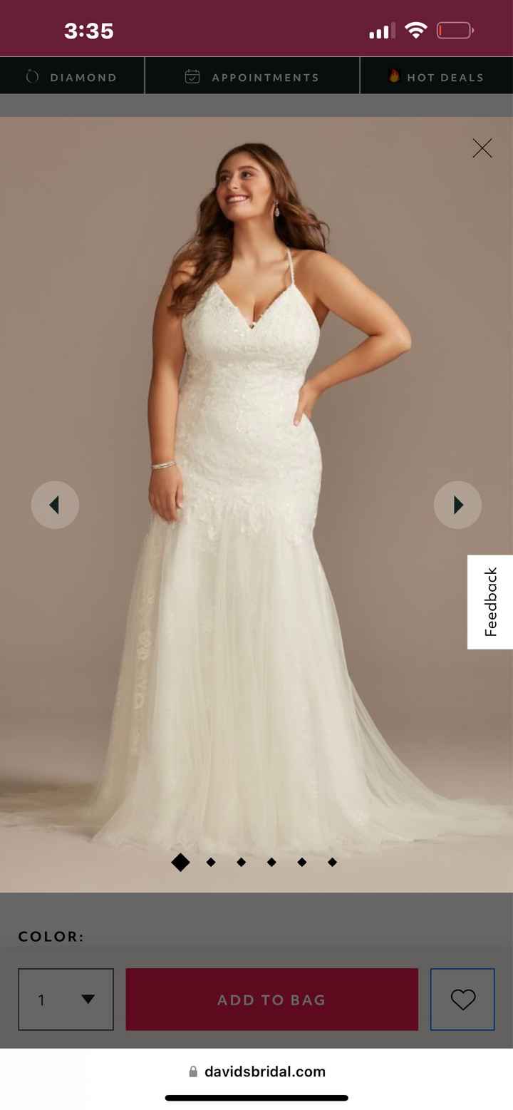 Wedding Dress Dilemma - 1