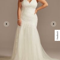 Wedding Dress Dilemma - 1
