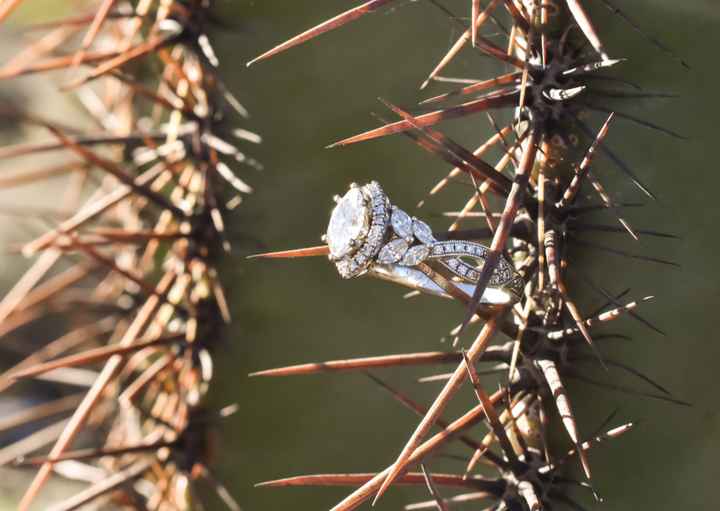 2023 Brides - Show us your ring! - 1
