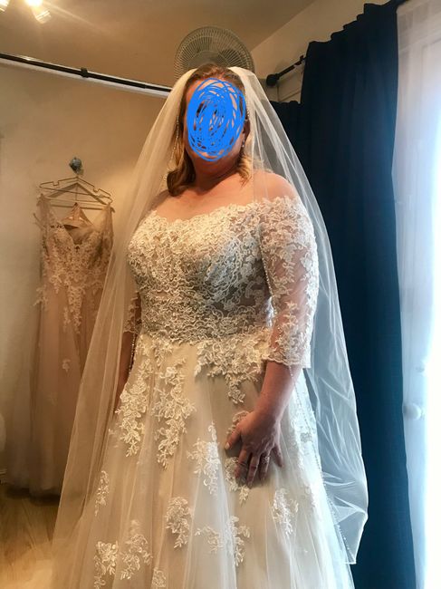 Wedding Dress Budget! - 1