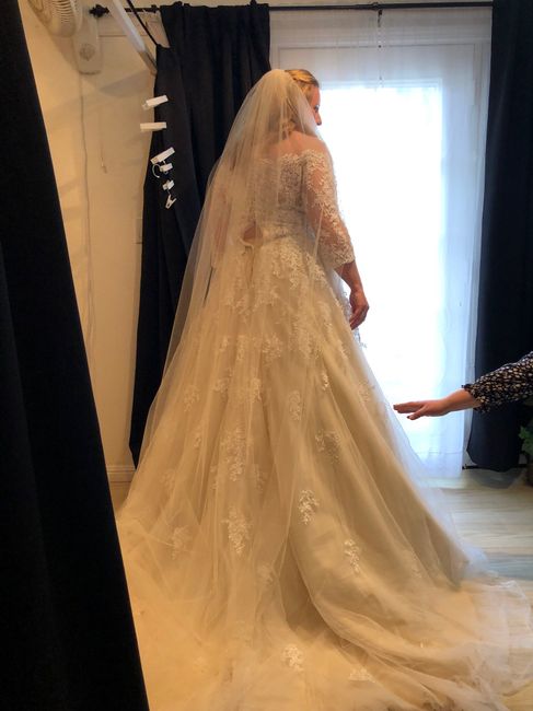 Wedding Dress Budget! - 2