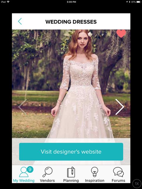 Did you pick a lace illusion sleeve dress ? Pics! - 1