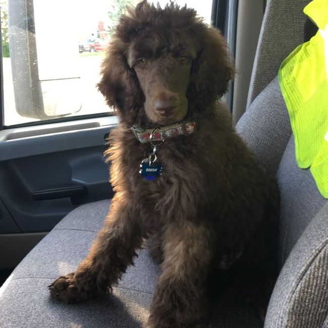 NWR: Furry Children