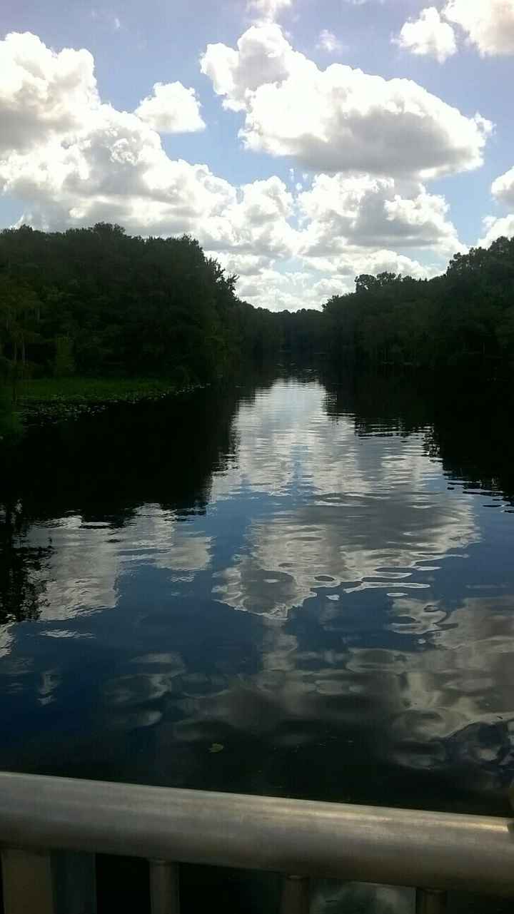 To arch or not to arch