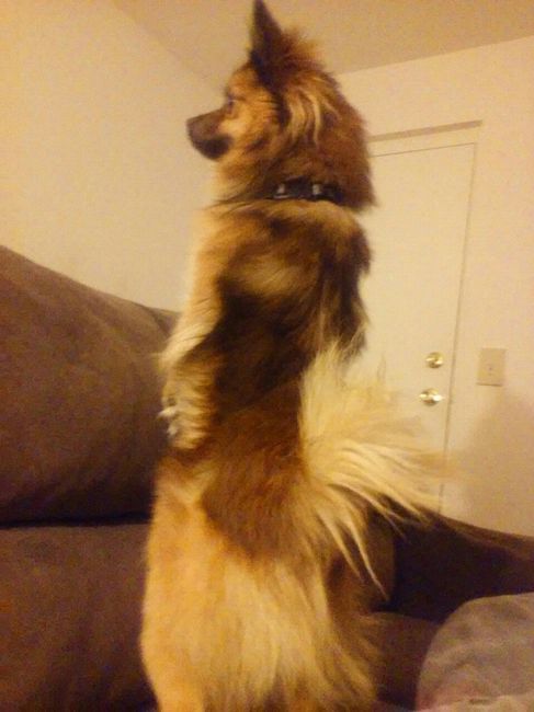 NWR: post pics of your pets!!