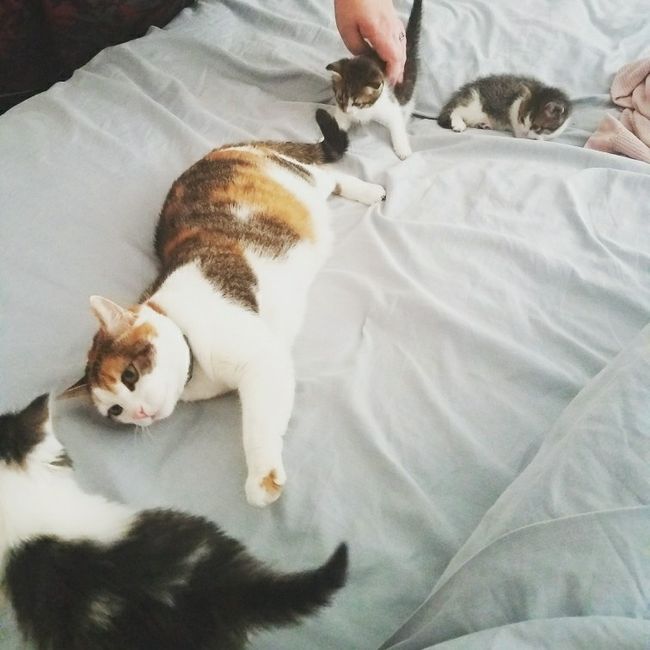 NWR: Furbaby!