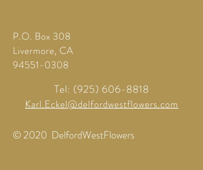 What is included in the florist proposal ? - 1