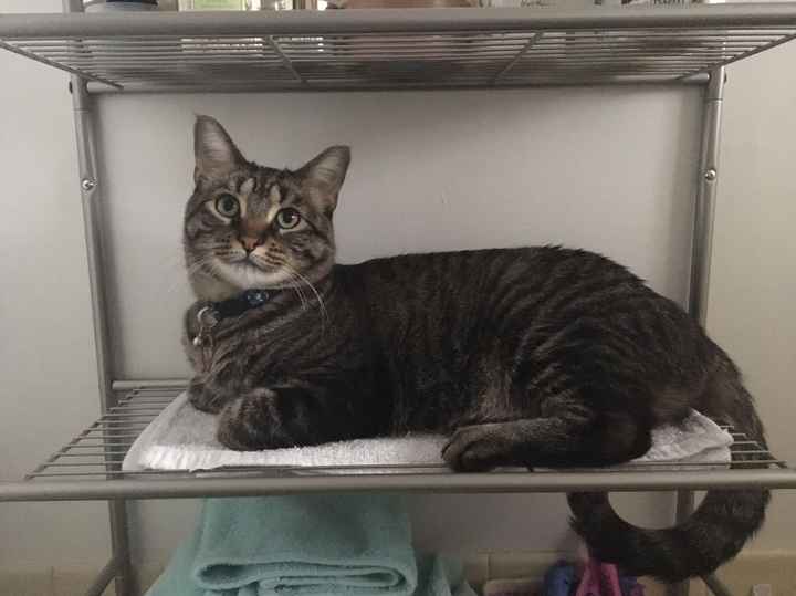 NWR- let me see your fur babies, awake and scared