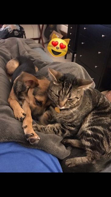 NWR- let me see your fur babies, awake and scared