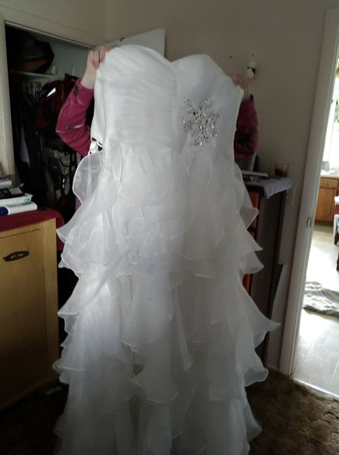 My dress is in!!! - 1