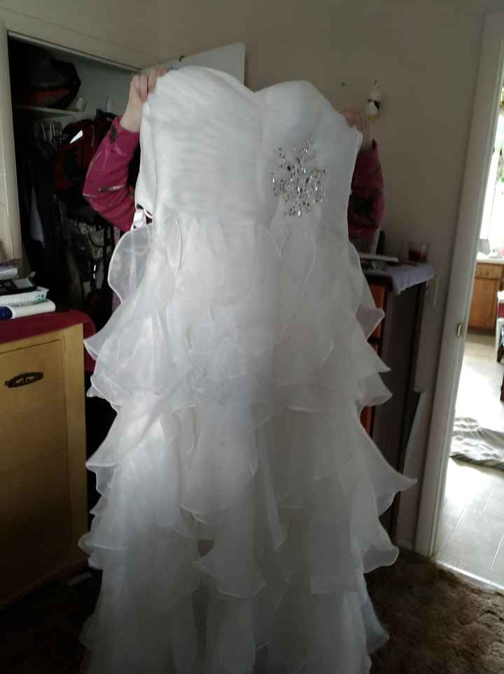 My dress is in!!! - 1