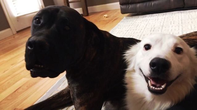 NWR: Show me your pups!
