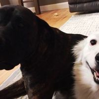 NWR: Show me your pups!