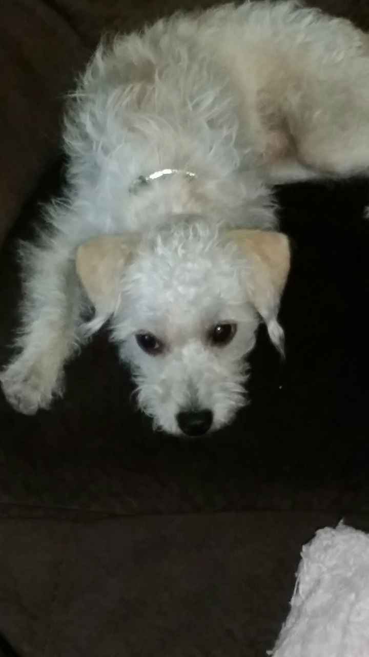NWR: We adopted another puppy!!!***PICS**