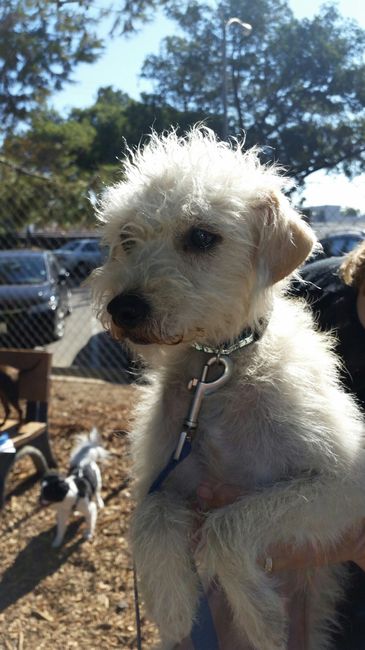 NWR: We adopted another puppy!!!***PICS**
