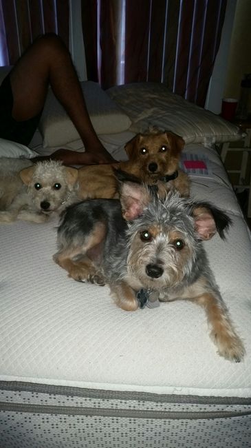 NWR: We adopted another puppy!!!***PICS**